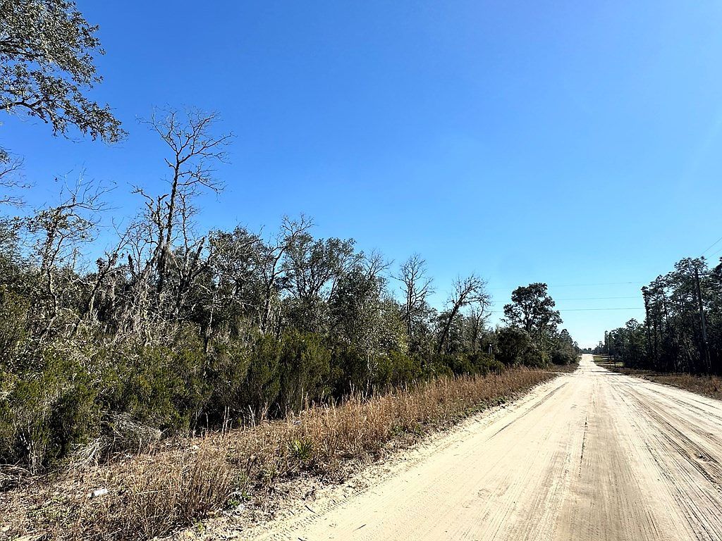 0 NE 67th Ln Williston, FL 32696 - Thumbnail 4