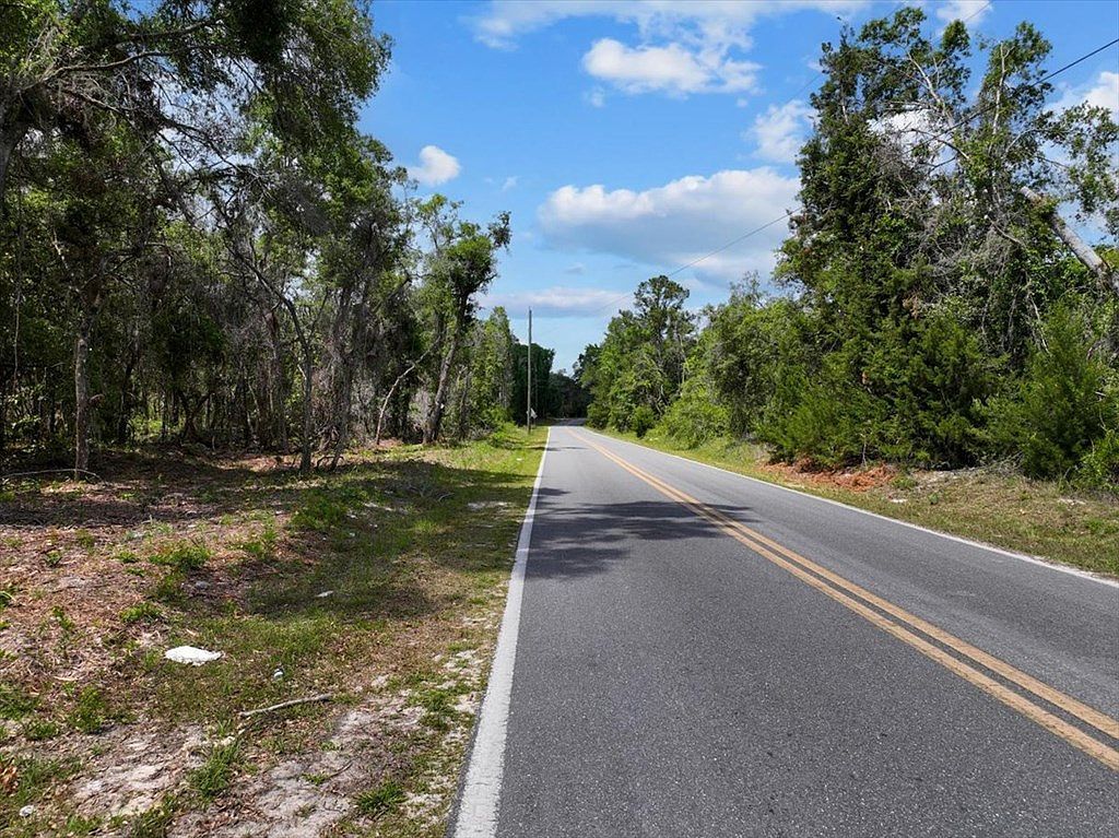 0 NE 399th St Old Town, FL 32680 - Thumbnail 4