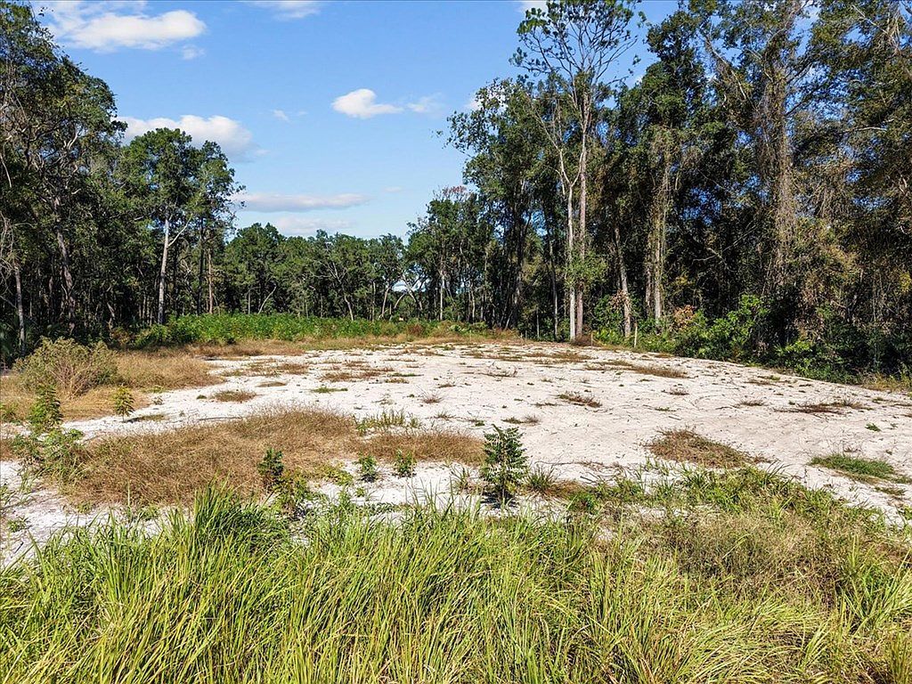 0 NW 162nd St Trenton, FL 32693 - Thumbnail 4