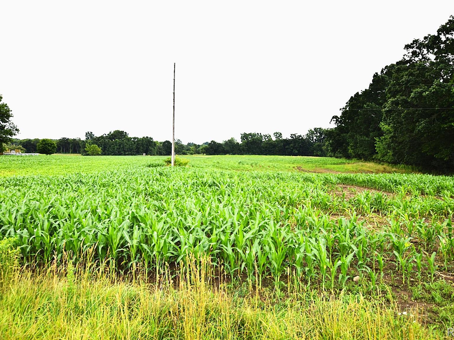 V/l N Irish Rd Otisville, MI 48463 - Thumbnail 4