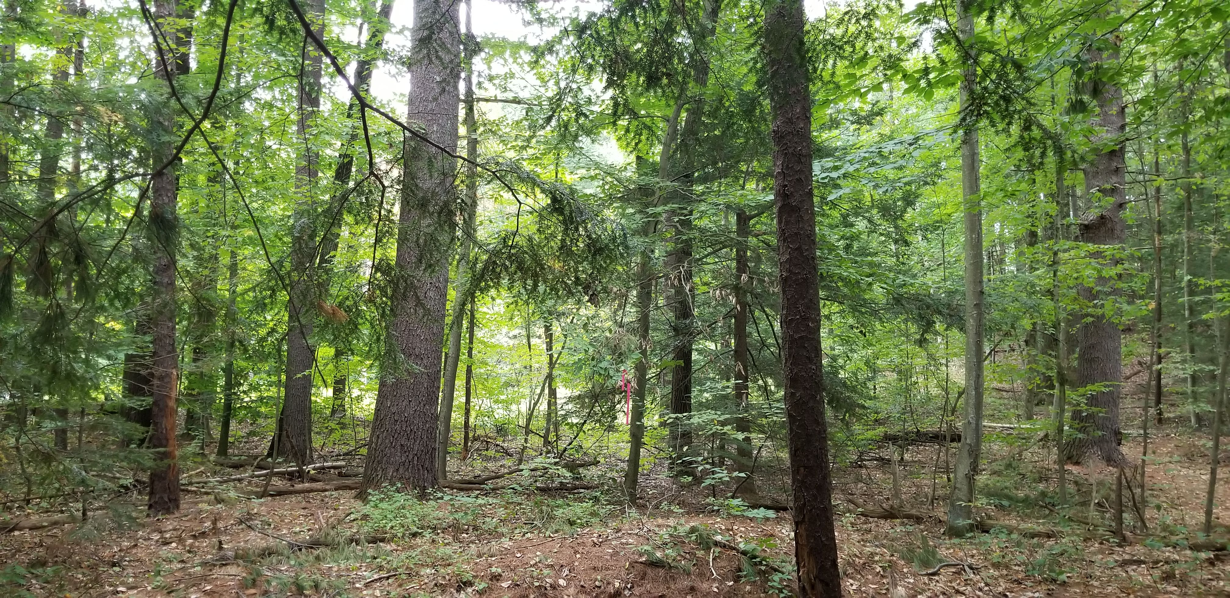 370 West Mountain Road, West Simsbury, CT, USA, 6092 - Thumbnail 4