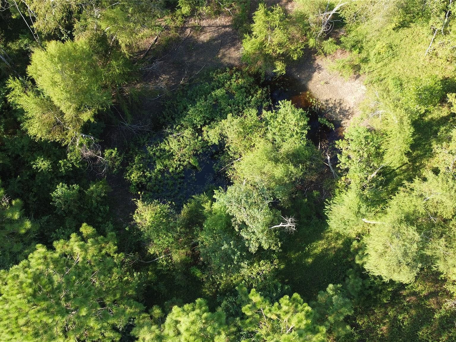 4925 County Road 435 Alvin, TX 77511 - Thumbnail 4