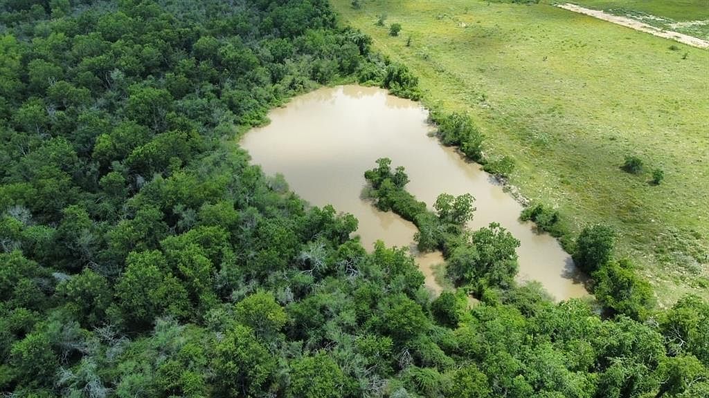 1966 Hluchan Rd Sealy, TX 77474 - Thumbnail 4