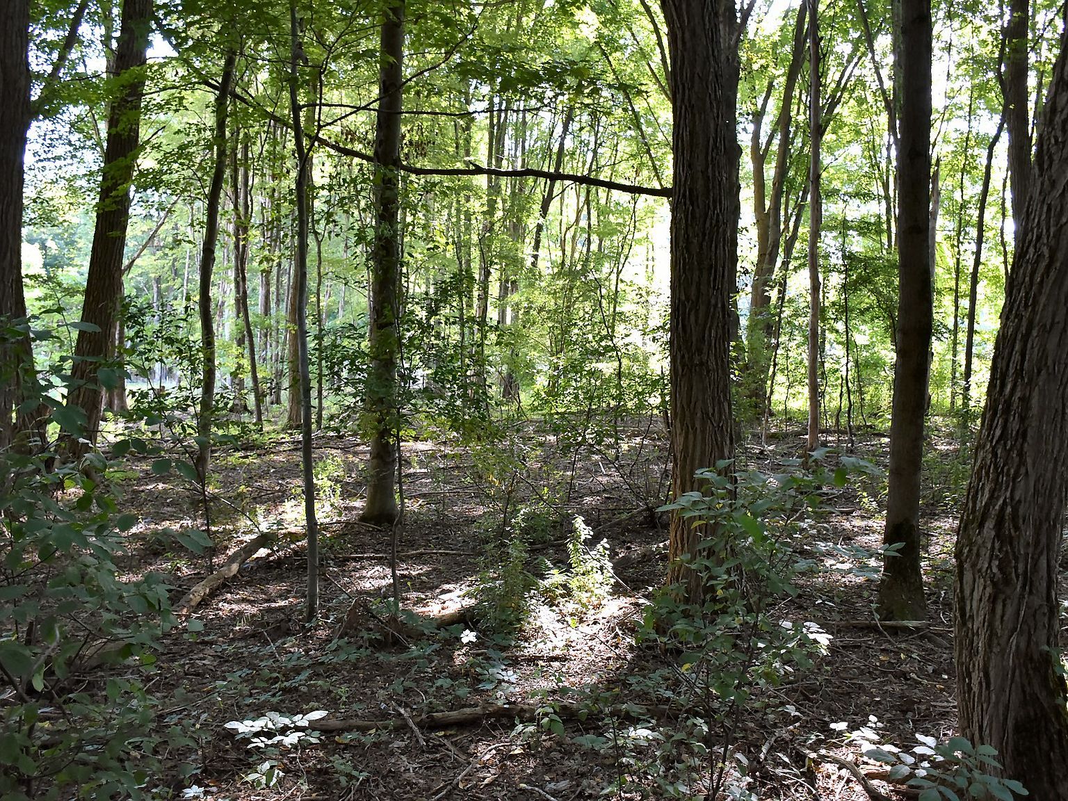 12390 Dogwood Ln Conneaut Lake, PA 16316 - Thumbnail 4