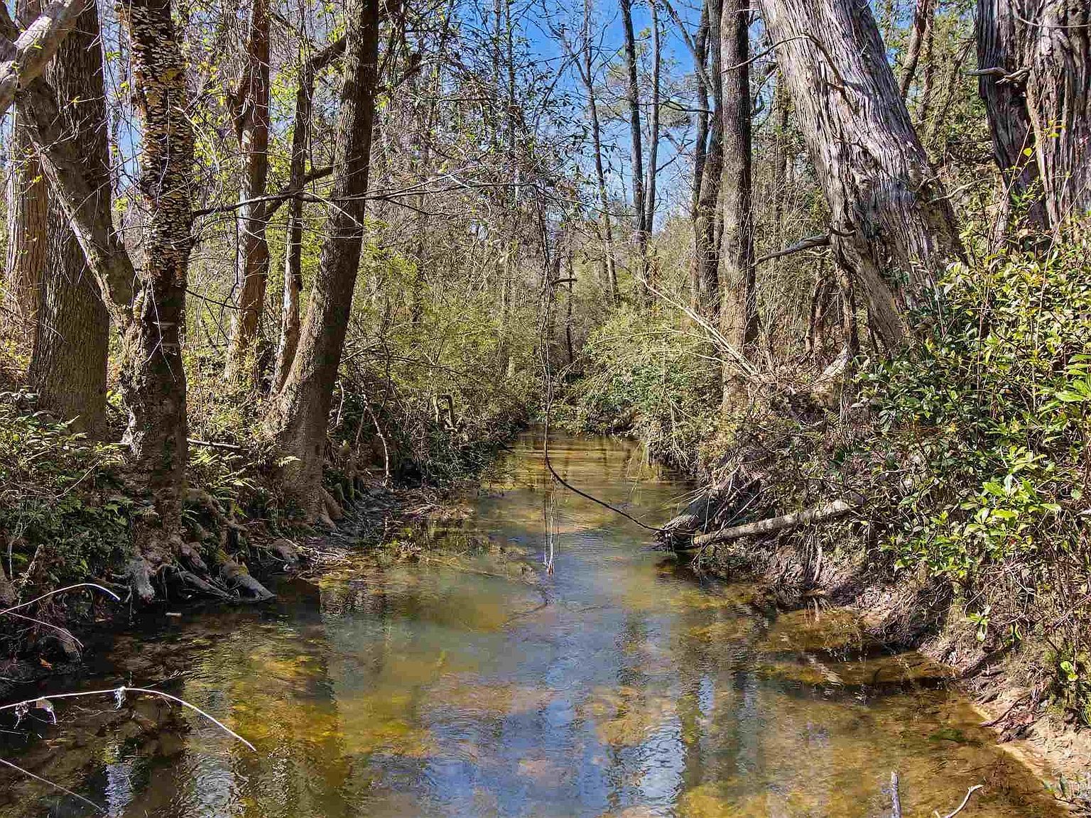 10736 S County Road 83 Elberta, AL 36530 - Thumbnail 4