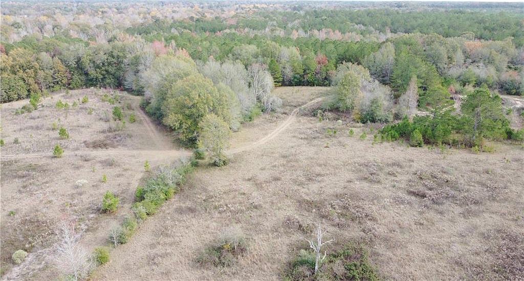 21189 P Griffin Rd Kentwood, LA 70444  | Land/Lot