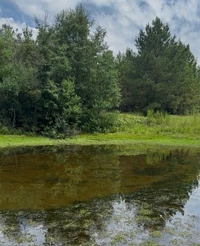 Dillon Rd Kentwood, LA 70444 - Thumbnail 4