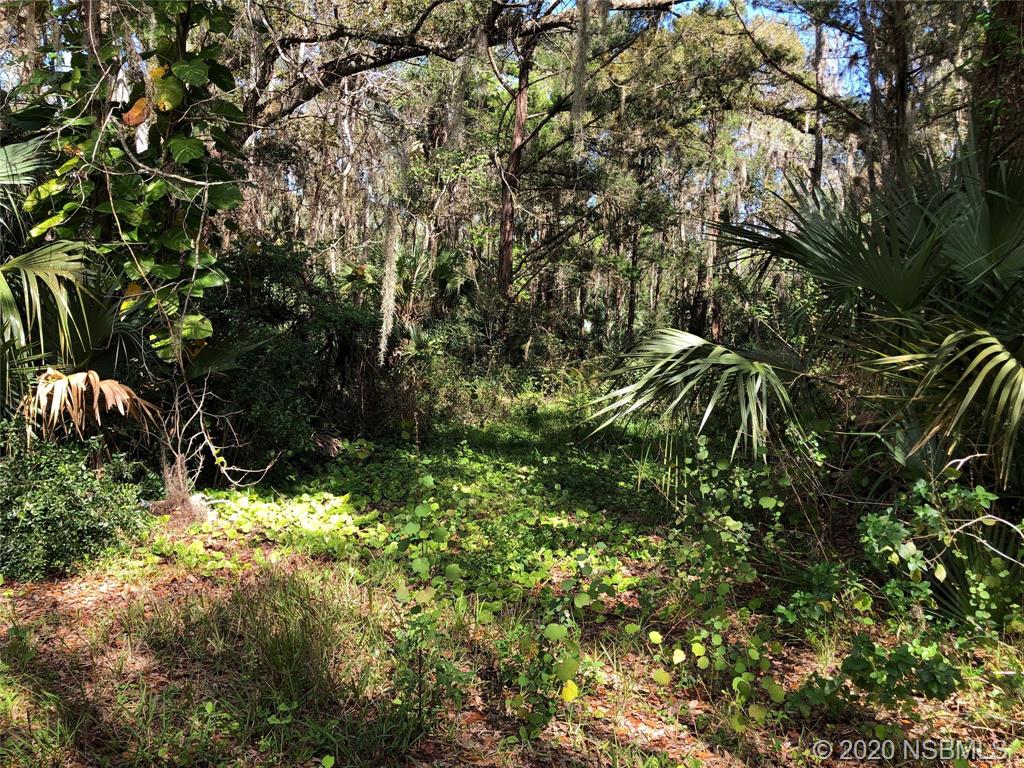 Swoope Dr, New Smyrna Beach, FL, USA, 32168  | Land/Lot
