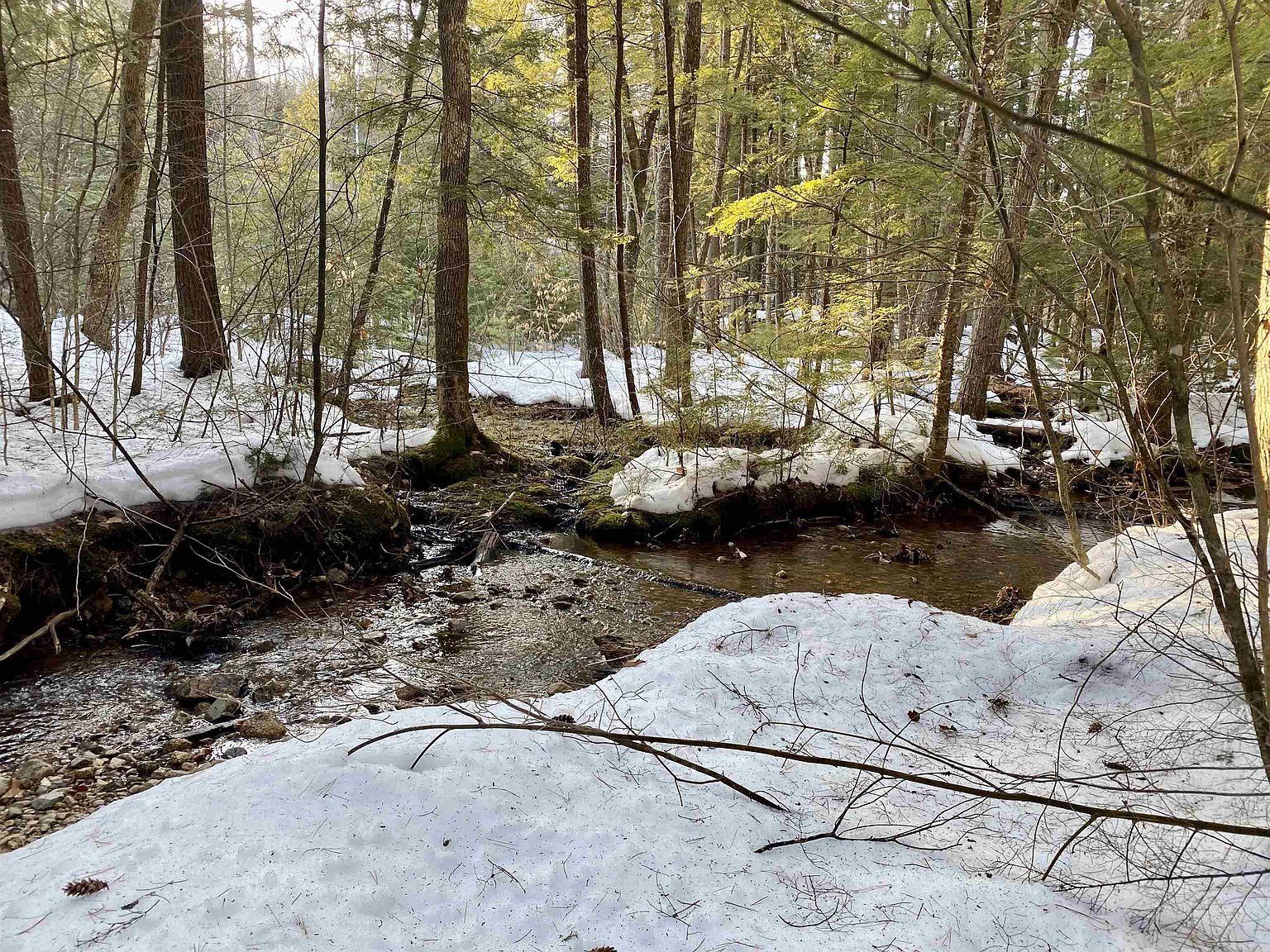 65 Ossipee Mountain Rd Center Ossipee, NH 03814 - Thumbnail 4