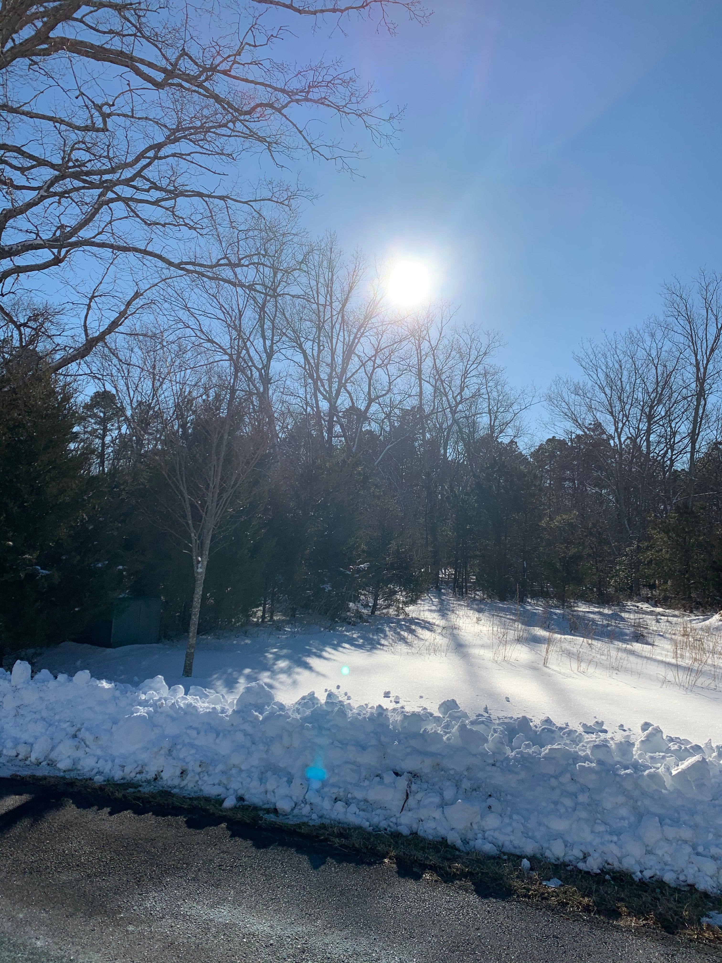 2 Holly Tree Court, Jackson Township, NJ, USA, 8527 - Thumbnail 4