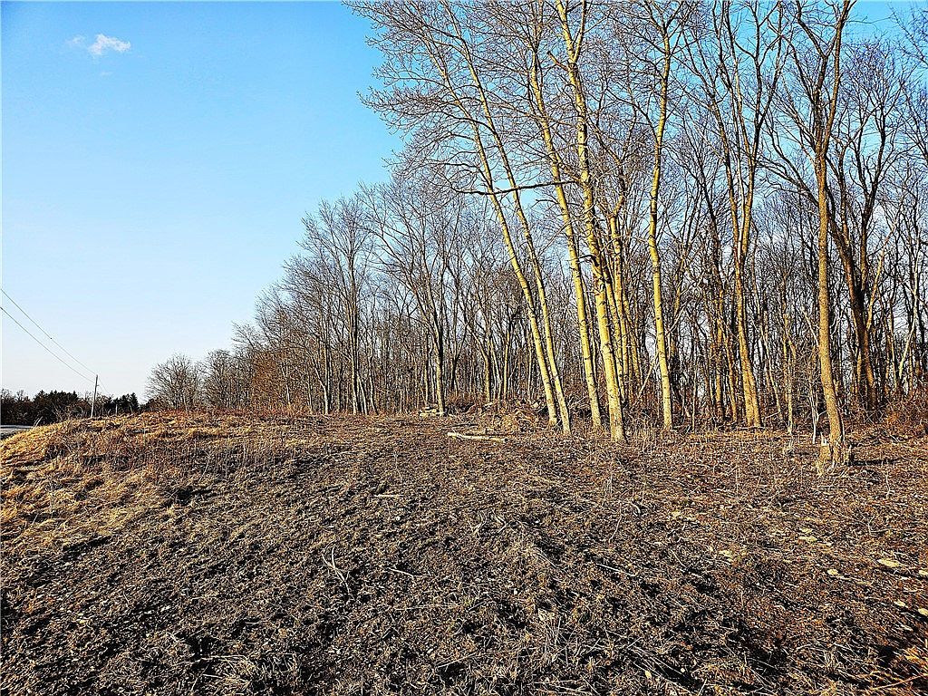 0 Blackleggs Rd Saltsburg, PA 15681 - Thumbnail 4