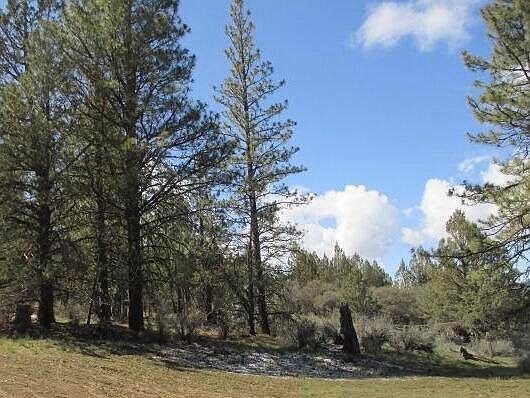 Partin Dr #2-3 Beatty, OR 97621 - Thumbnail 4