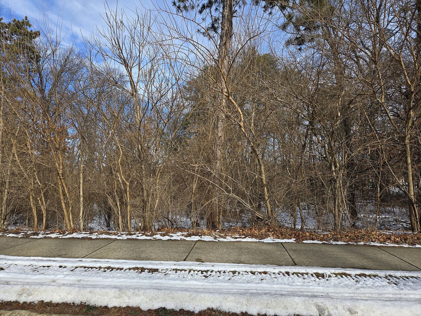 (undisclosed Address) Essex, IL 60935 - Thumbnail 4