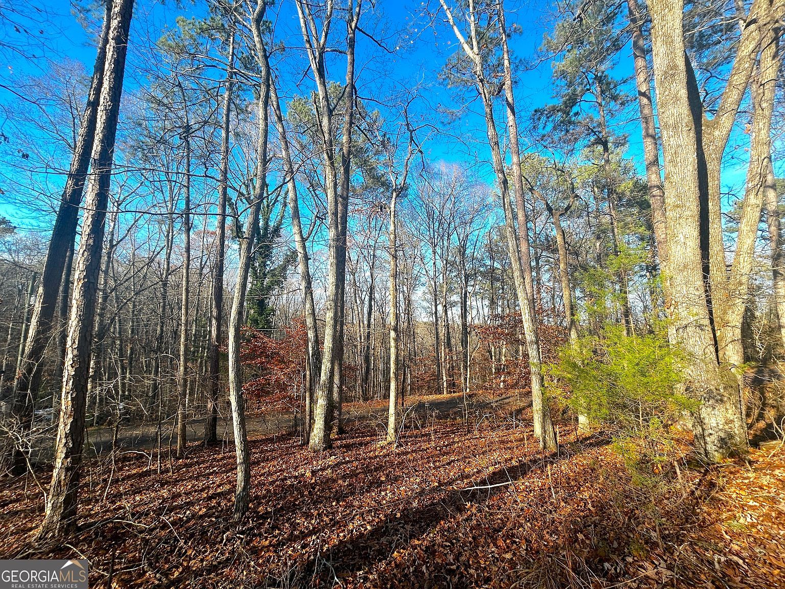 3339 Cherokee Ct Villa Rica, GA 30180 - Thumbnail 4