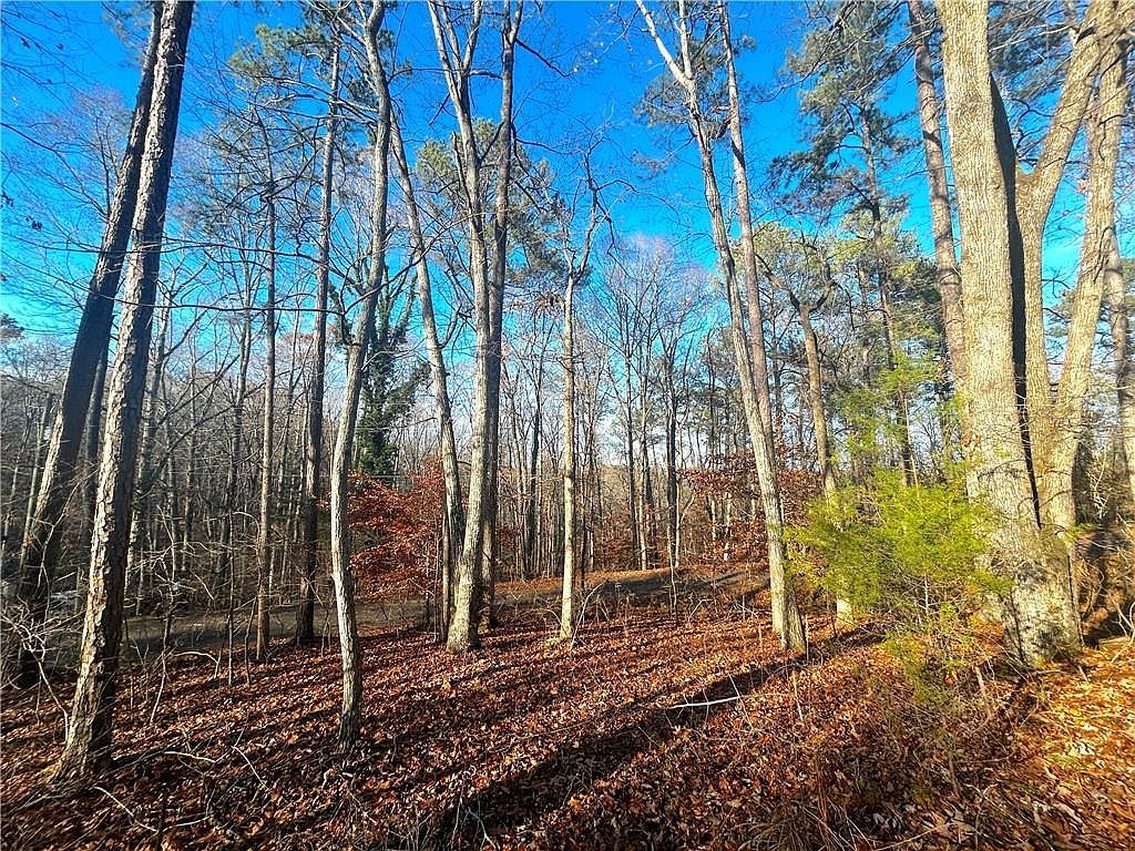 3339 Cherokee Ct #339 Villa Rica, GA 30180 - Thumbnail 4