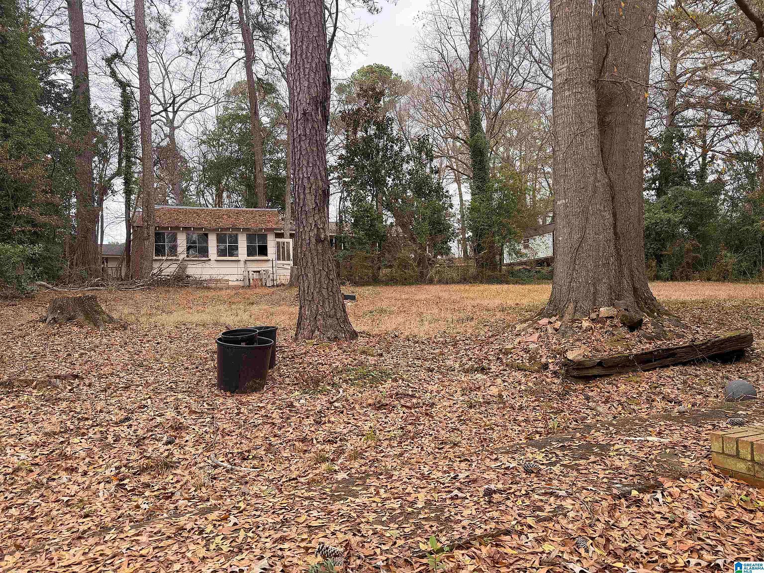 646 Mickle Dr Roanoke, AL 36274 - Thumbnail 4