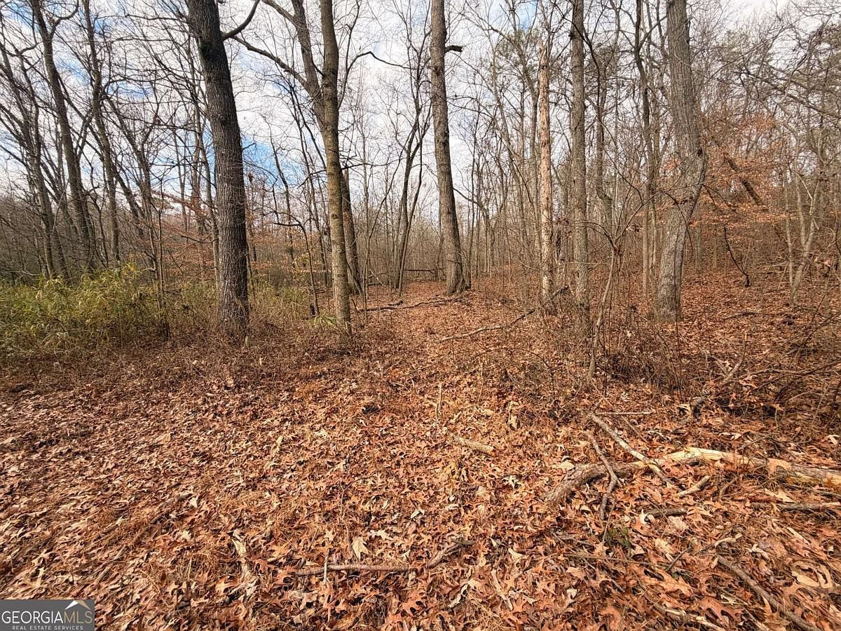 1830 Highway 27 North Byp Bremen, GA 30110 - Thumbnail 4