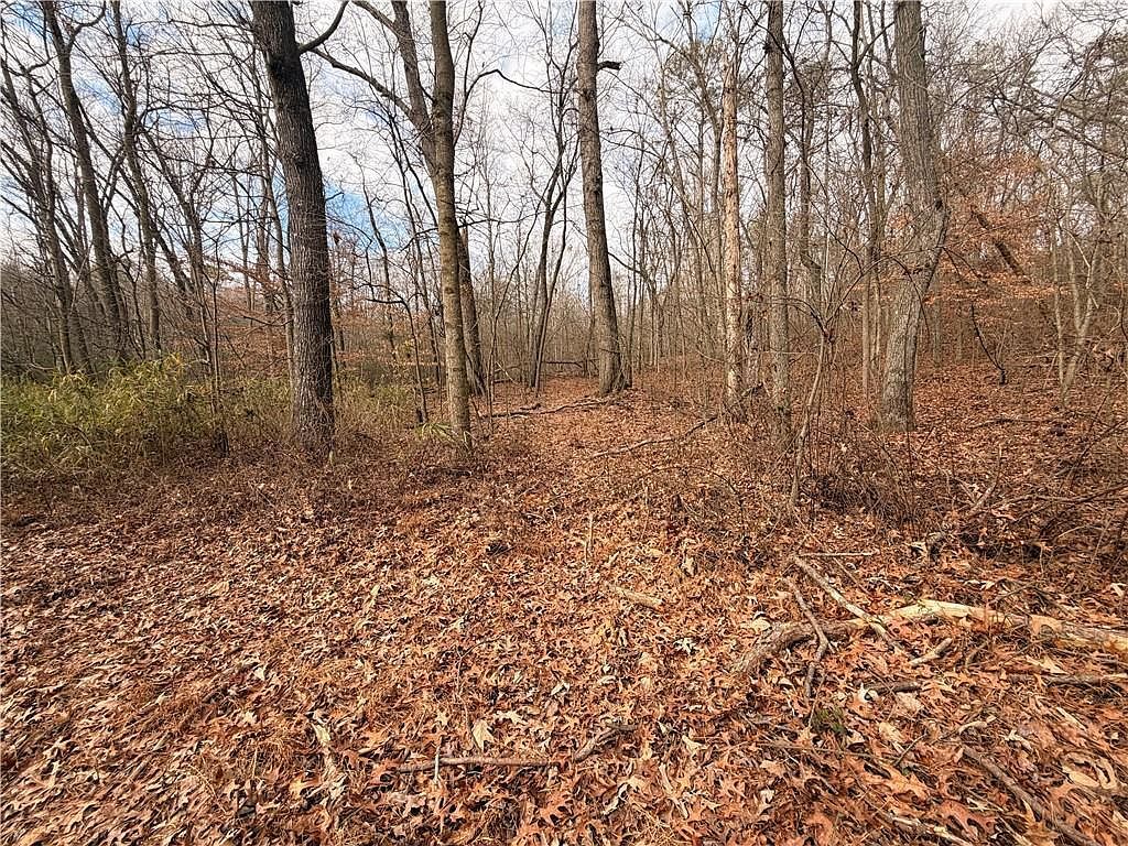 1830 Highway 27 N #N Bremen, GA 30110 - Thumbnail 4