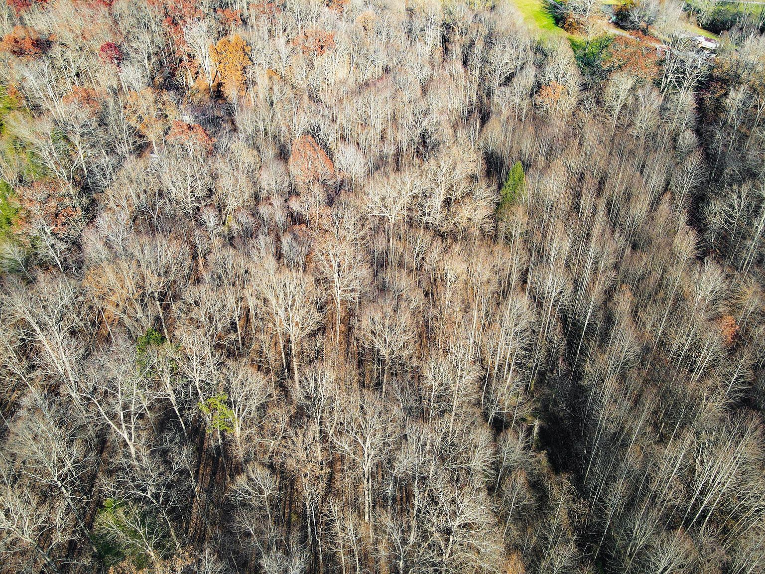 9999 Sid Harville Rd London, KY 40744 - Thumbnail 4