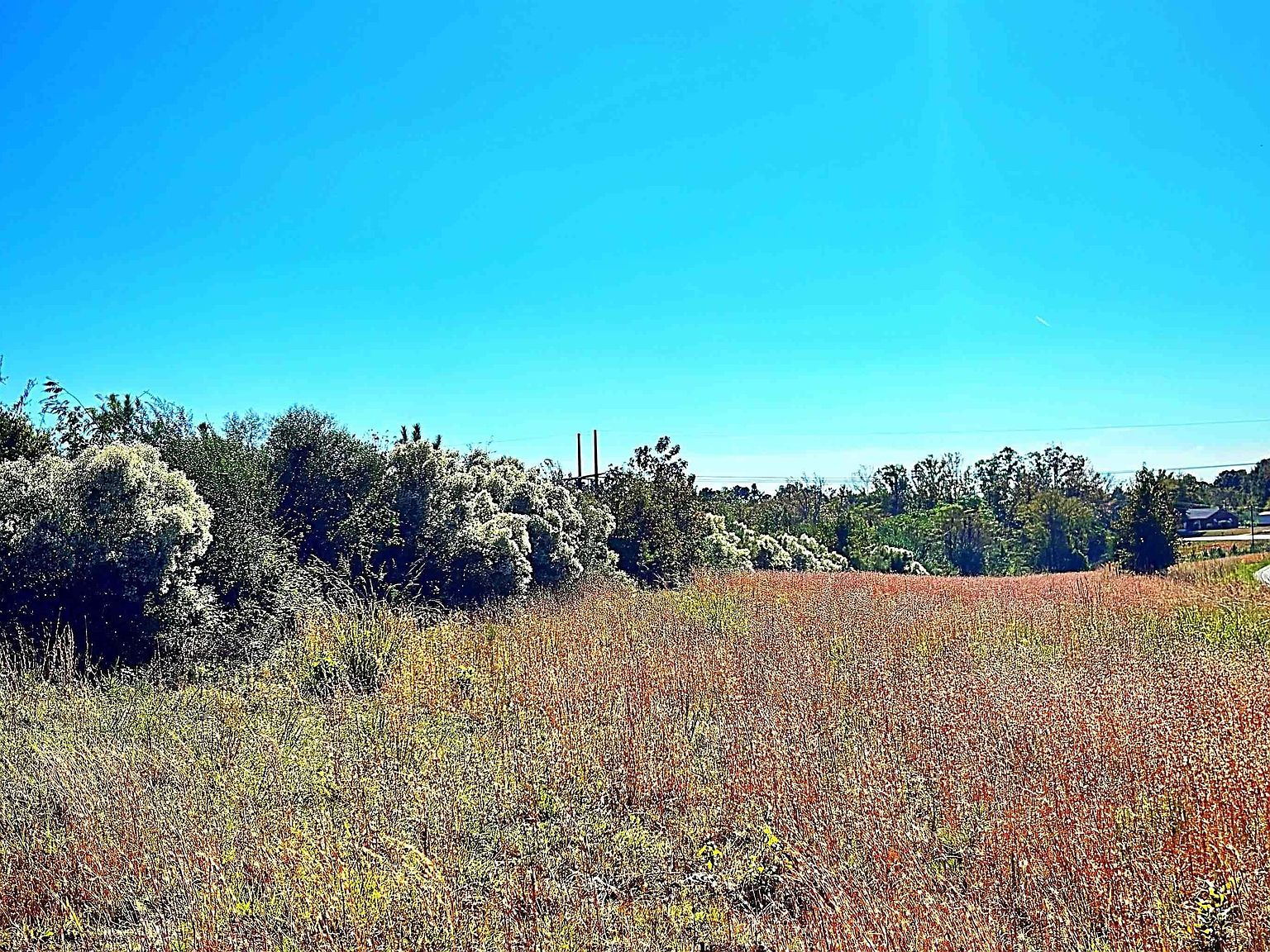 0 Riverfork Rd Waterloo, SC 29384 - Thumbnail 4