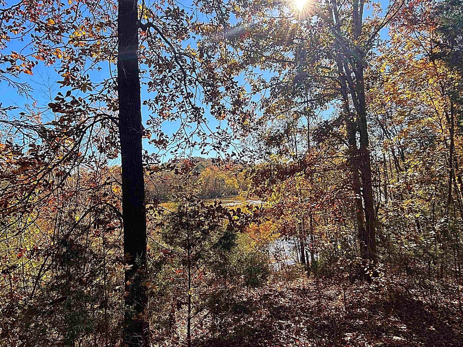 45 Deer Meadows Rd Laurens, SC 29360 - Thumbnail 4