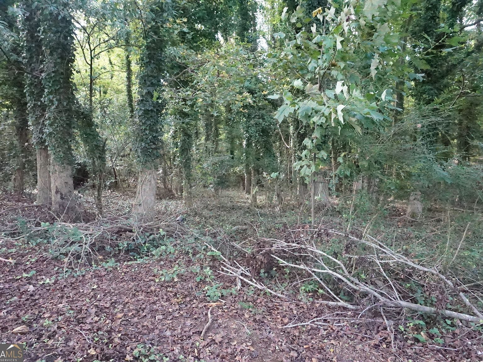 6 Pine Valley Dr Royston, GA 30662 - Thumbnail 4