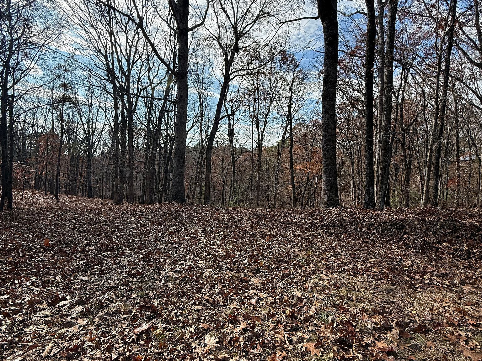 0 Orchard Rd Jasper, GA 30143 - Thumbnail 4