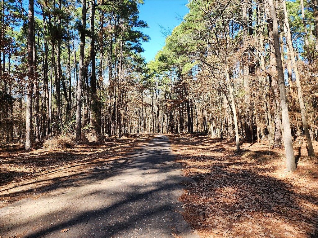 Whipporwill Ln Mount Vernon, TX 75457 - Thumbnail 4