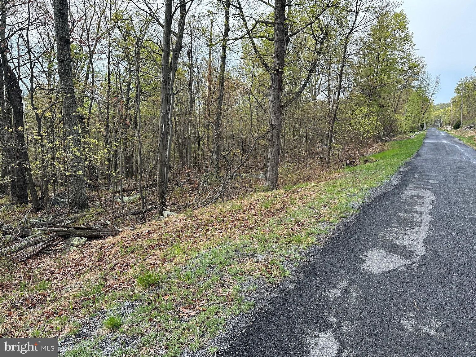 232 Inca Trl Winchester, VA 22602 - Thumbnail 4