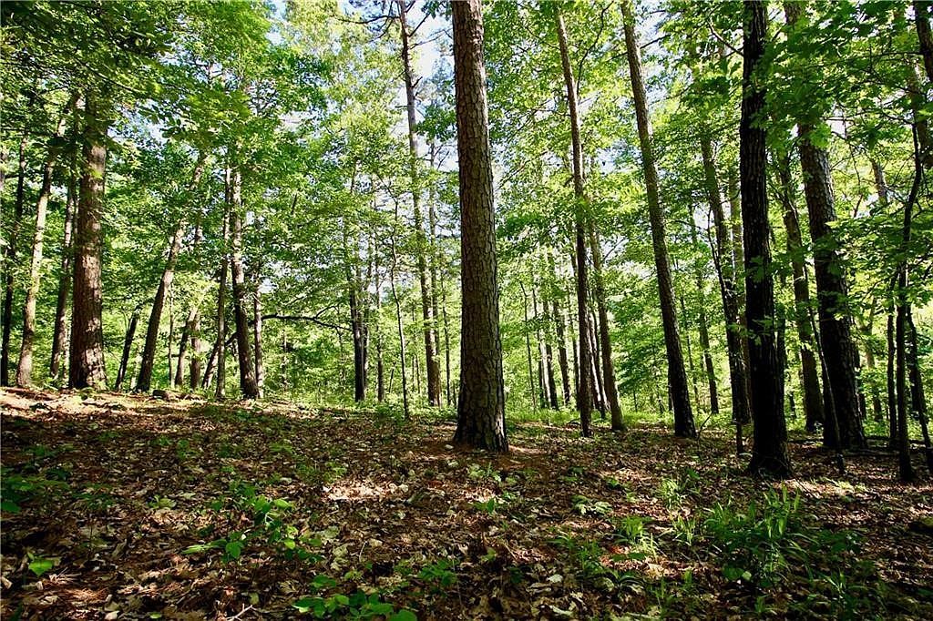 0 County Road 108 Eureka Springs, AR 72632 - Thumbnail 4