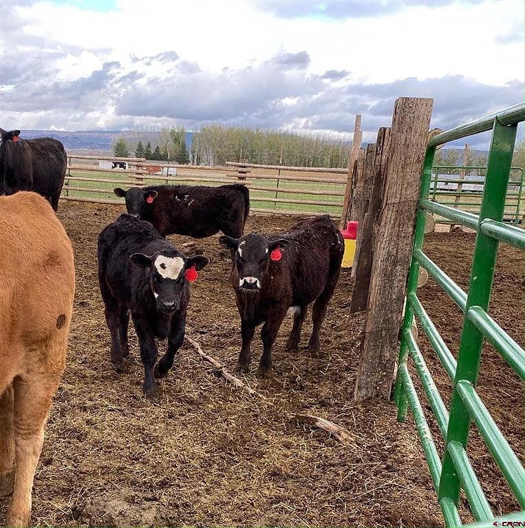 6000 Road Olathe, CO 81425 - Thumbnail 4