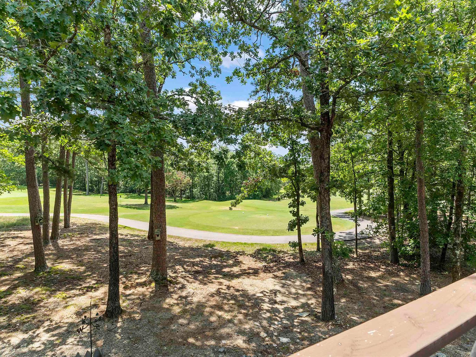 17 Minorca Way Hot Springs Village, AR 71909 - Thumbnail 4