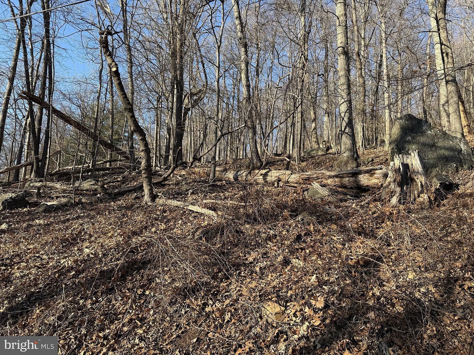 36 Jonathan Rd Linden, VA 22642 - Thumbnail 4