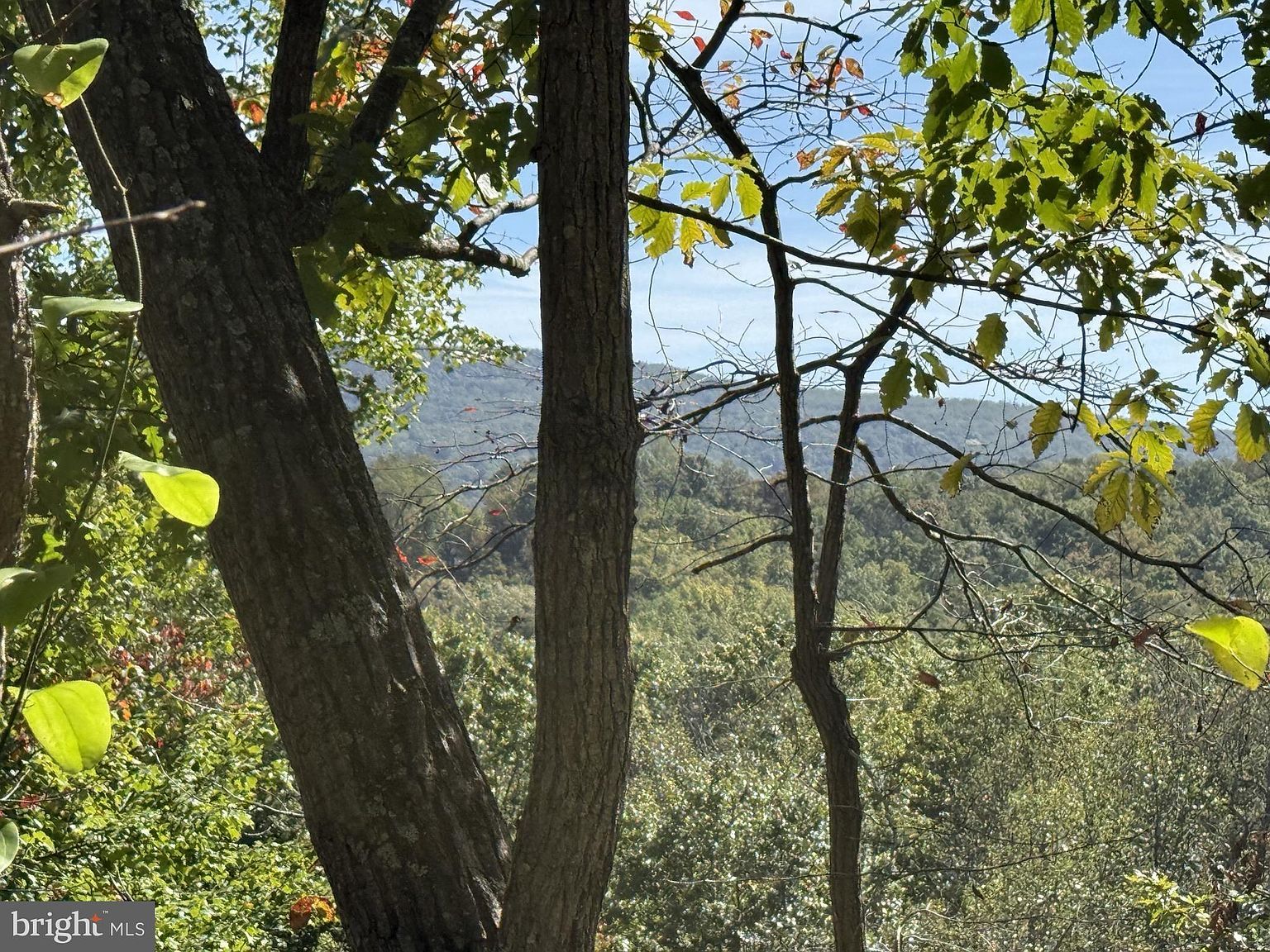 59 Old Oregon Rd Front Royal, VA 22630 - Thumbnail 4