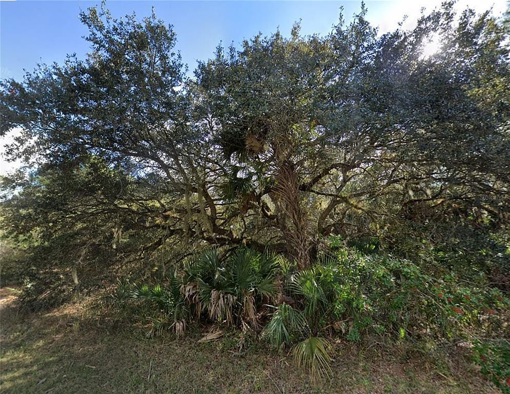 18393 Cordoba Ave LOT 24 Pt Charlotte, FL 33954 - Thumbnail 4