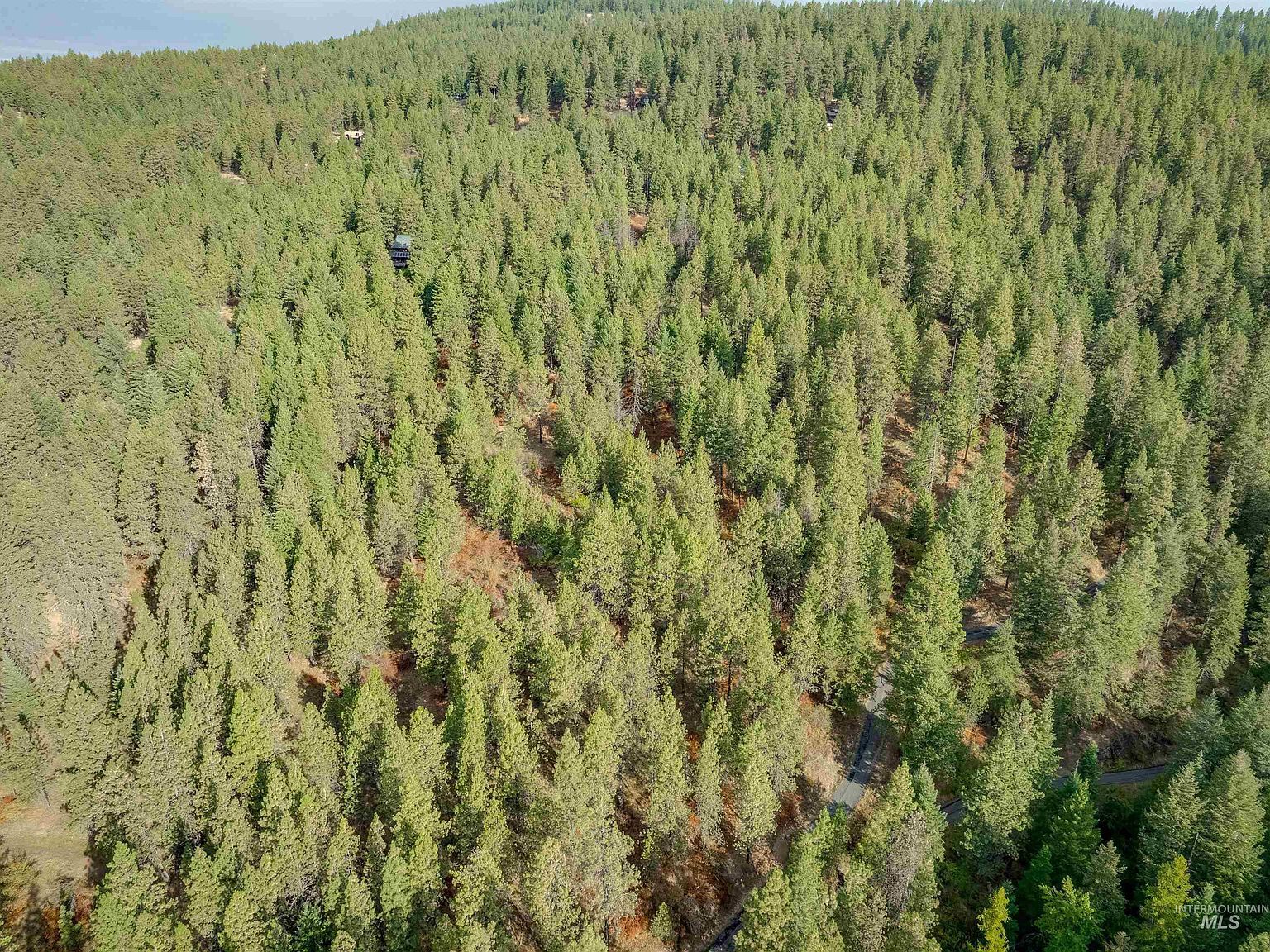 Tbd Foothill Rd Moscow, ID 83843 - Thumbnail 4