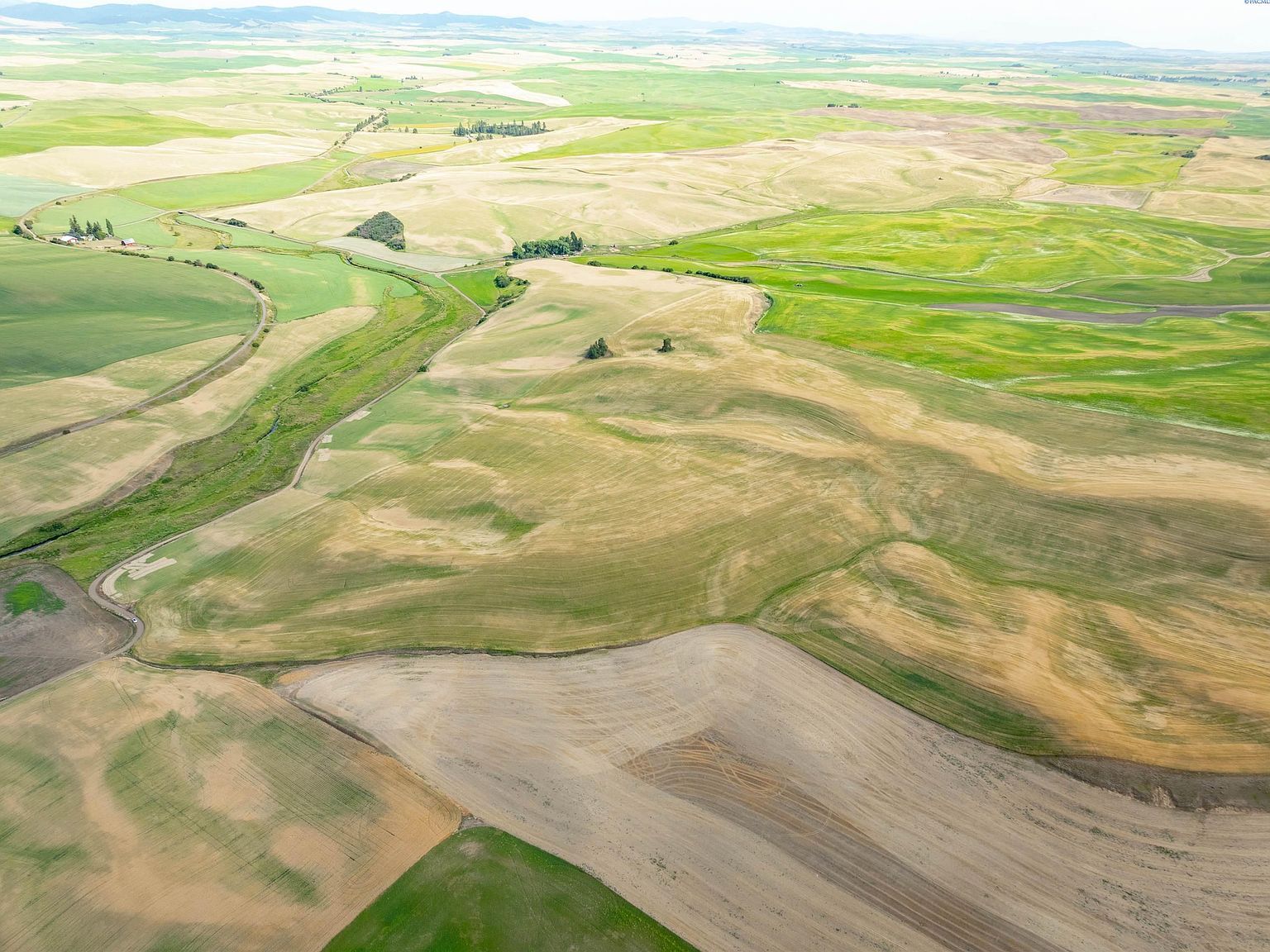 Bongarts Rd Oakesdale, WA 99158 - Thumbnail 4