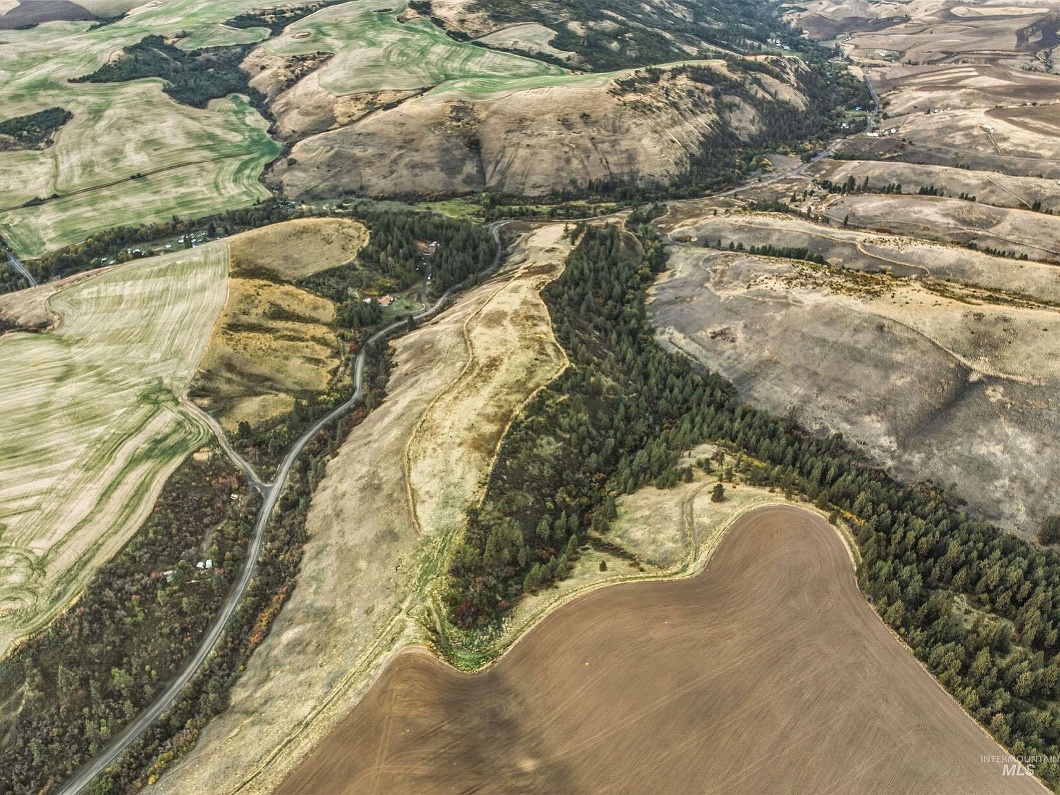 Kettenbach Grade Culdesac, ID 83524 - Thumbnail 4