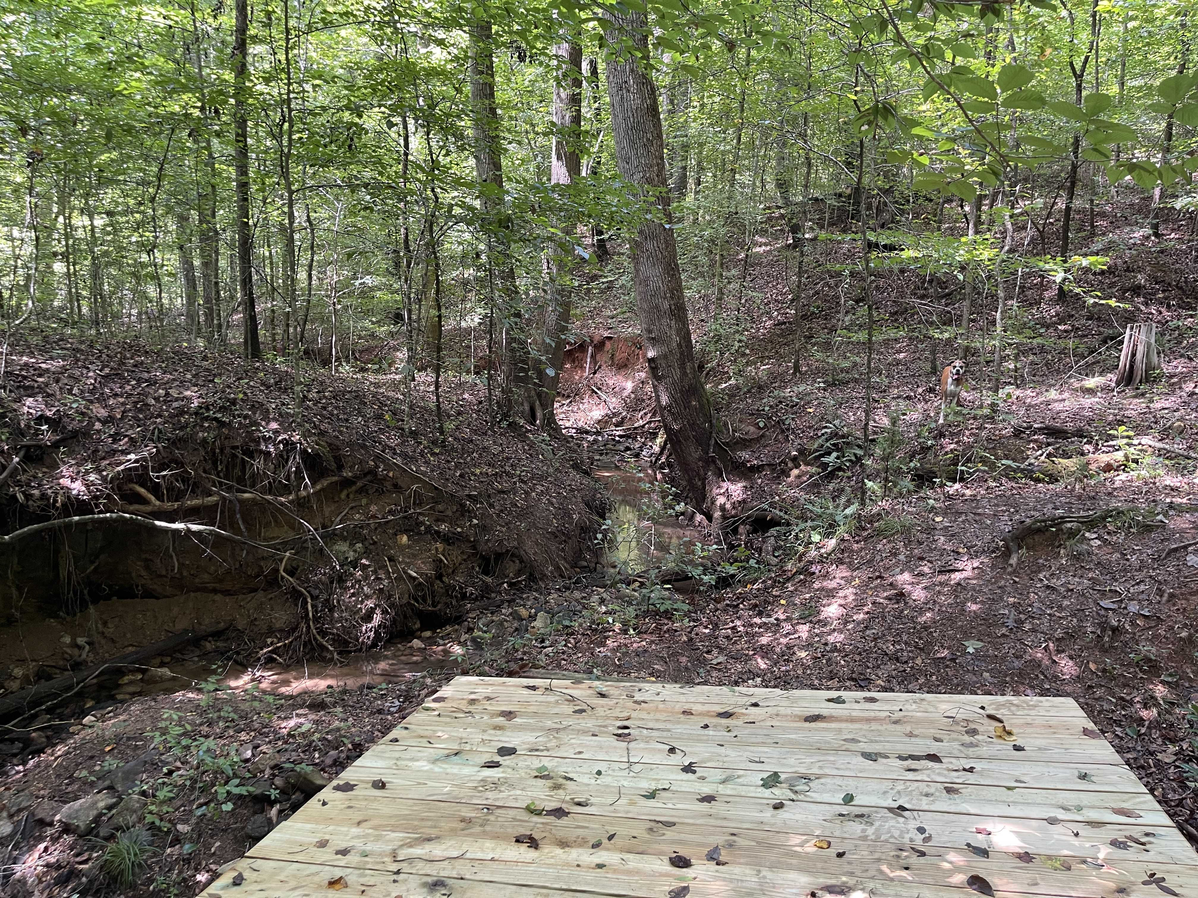 130 Rucker Road, Commerce, GA, USA, 30530 - Thumbnail 4