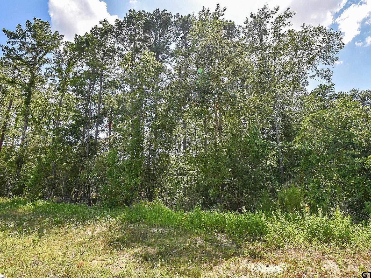 7933 Maple Ln Tyler, TX 75703 - Thumbnail 4