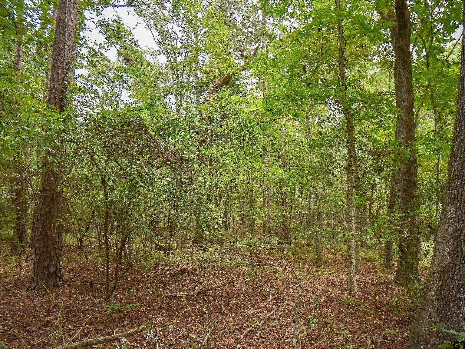 County Road 2337 LOT 4 Tyler, TX 75707 - Thumbnail 4