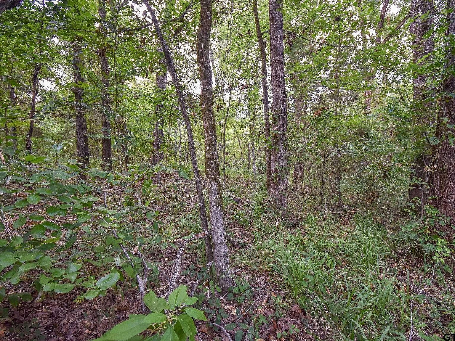 Vz County Road 1703 Grand Saline, TX 75140  | Land/Lot