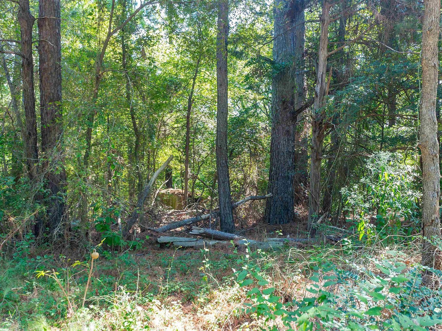 13234 Mountainview Rd S Winona, TX 75792 - Thumbnail 4