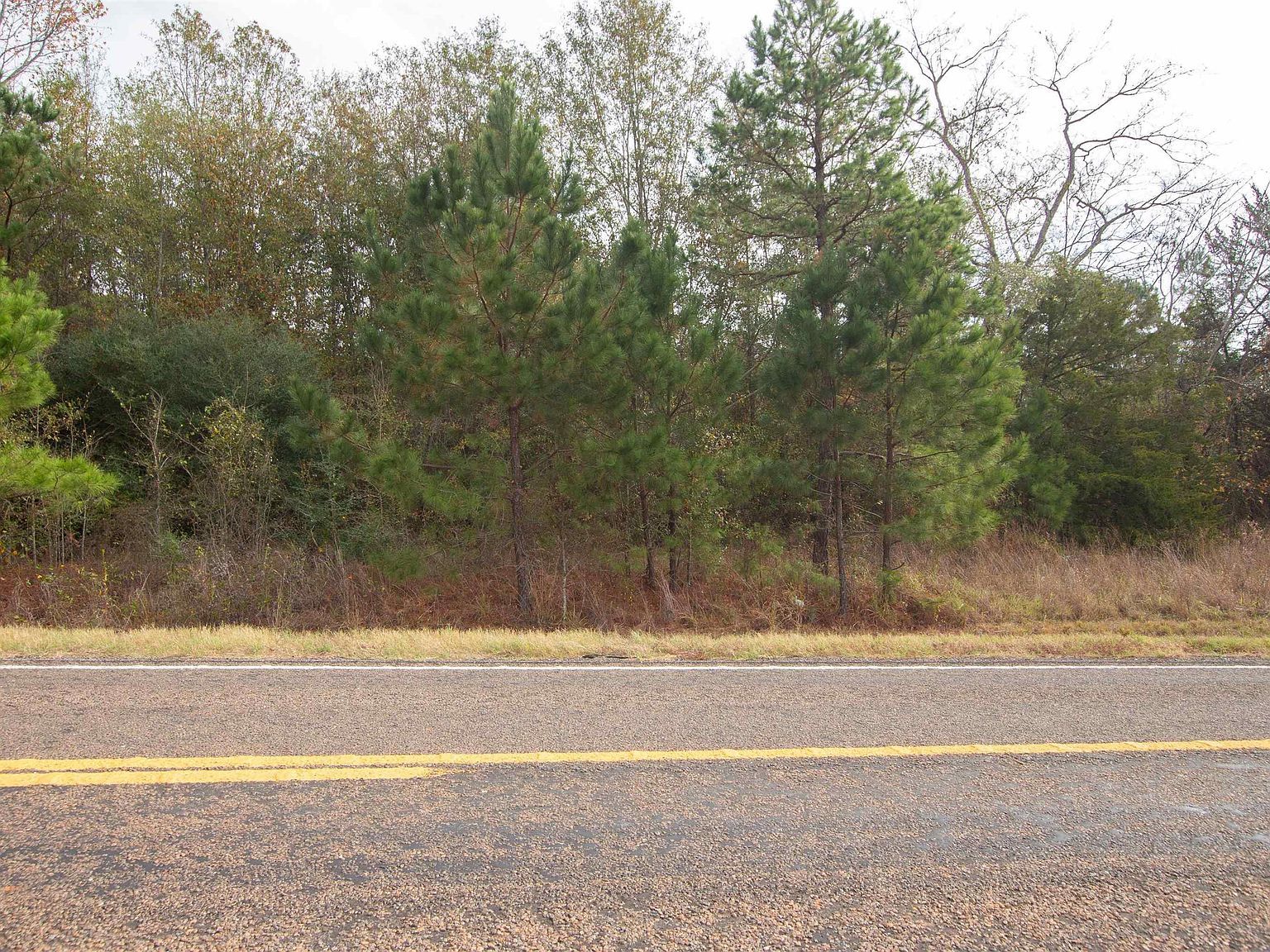 2012 Fm Overton, TX 75684 - Thumbnail 4