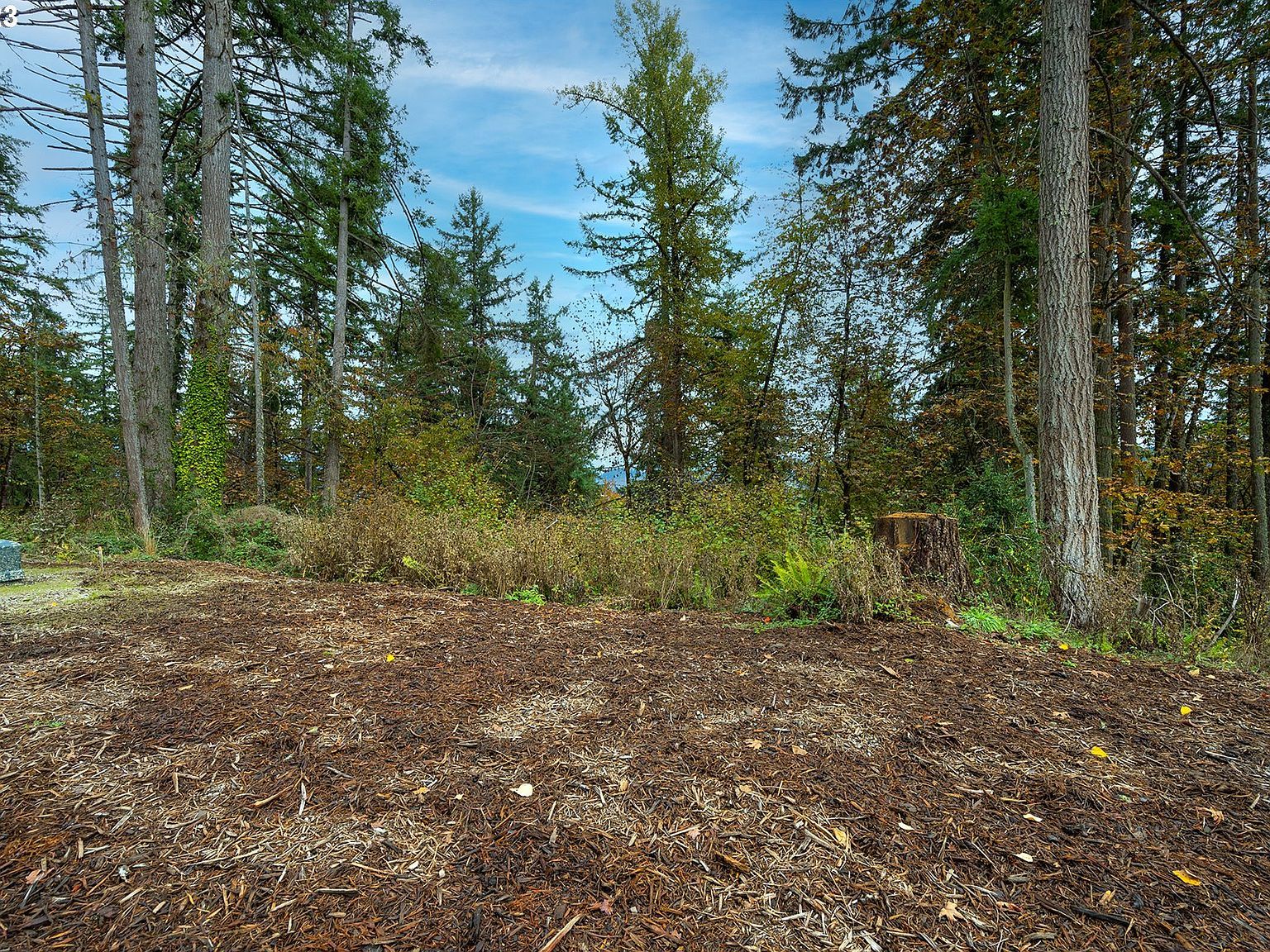 2639 Cupola Dr #12 Eugene, OR 97403 - Thumbnail 4