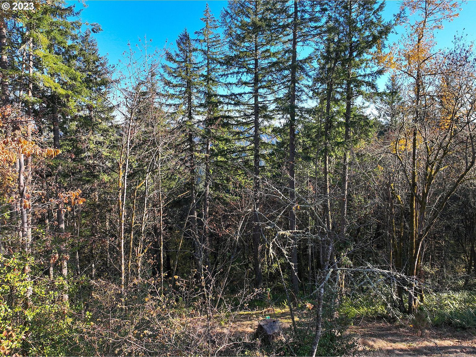 2645 Cupola Dr #13 Eugene, OR 97403 - Thumbnail 4