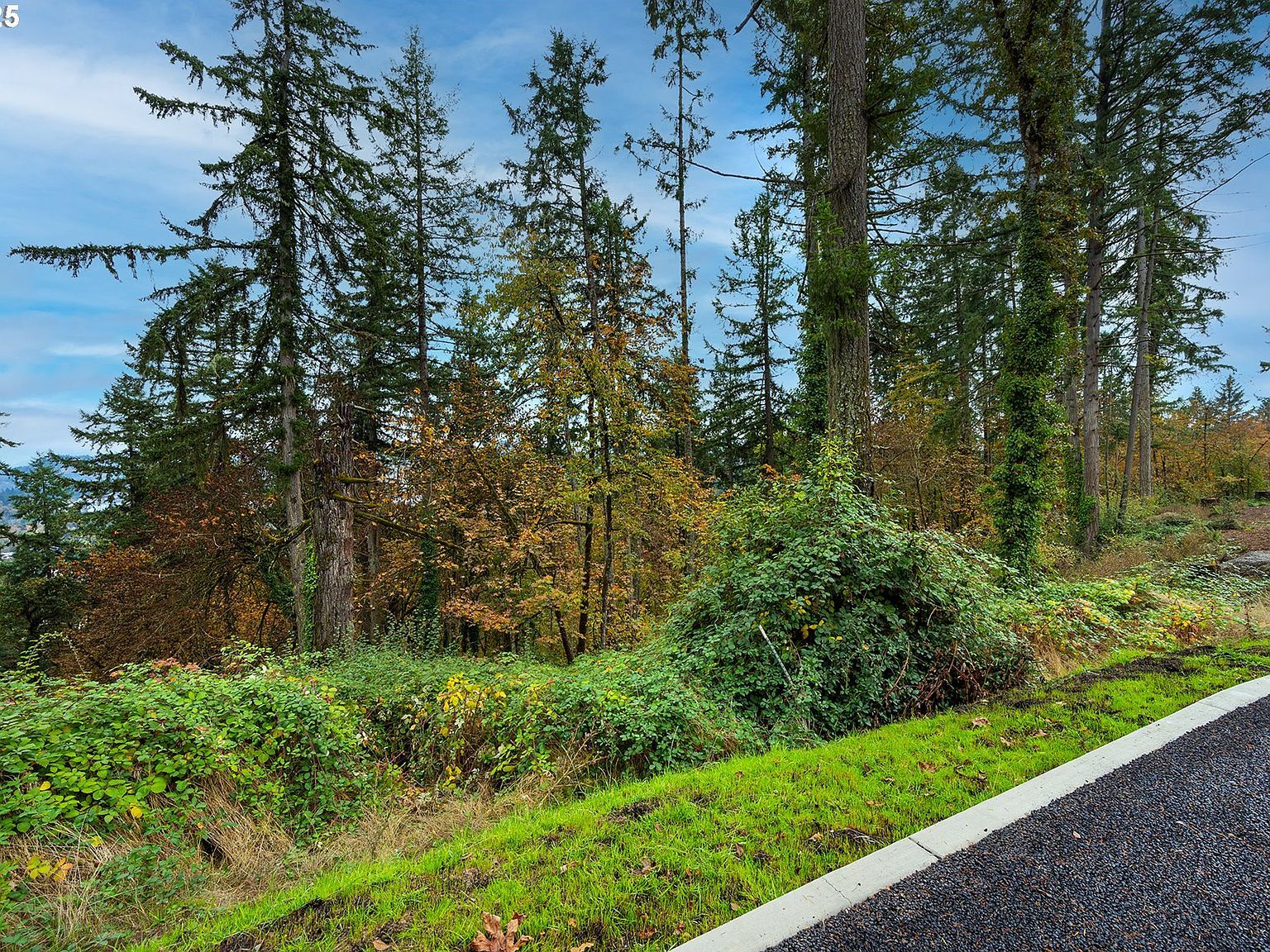 2629 Cupola Dr #10 Eugene, OR 97403 - Thumbnail 4