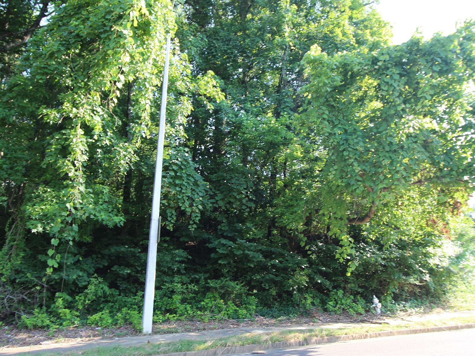 Ridgemont Rd, Memphis, TN, 38128 - Thumbnail 4