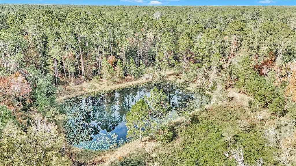 14497 E Highway 316 Fort Mc Coy, FL 32134 - Thumbnail 4