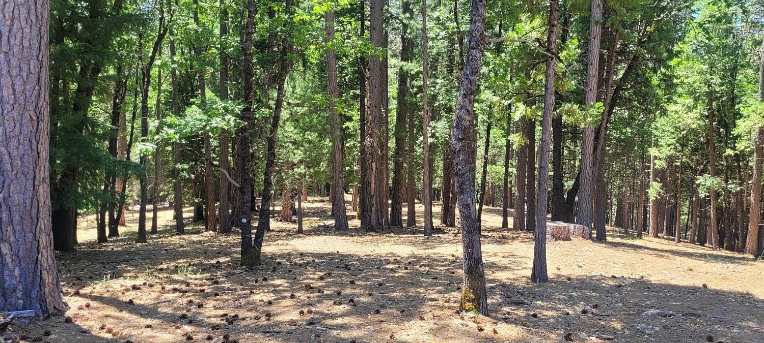 4790 Sierra Springs Dr Pollock Pines, CA 95726 - Thumbnail 4